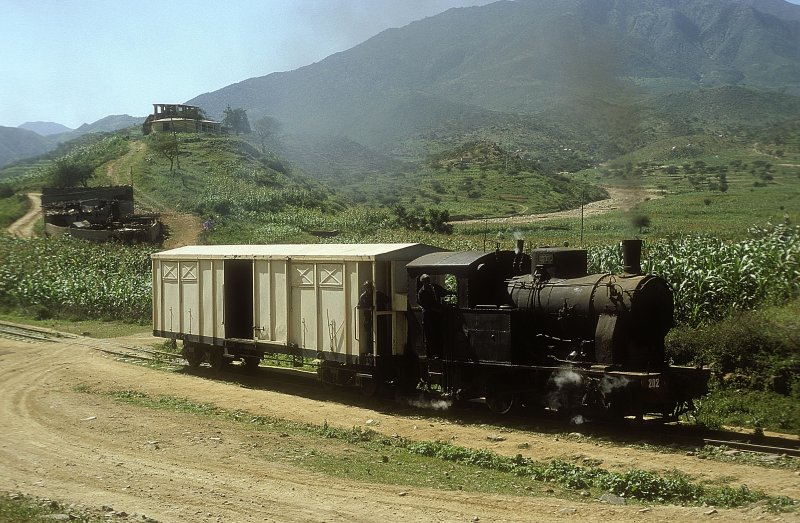 202 010  bei Ghinda  11.02.05