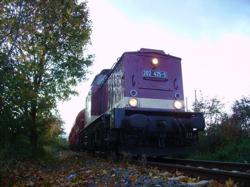 202 425 wurde am 1.11.06 bei Bauarbeiten auf der Strecke Worms Bensheim eingesetzt.