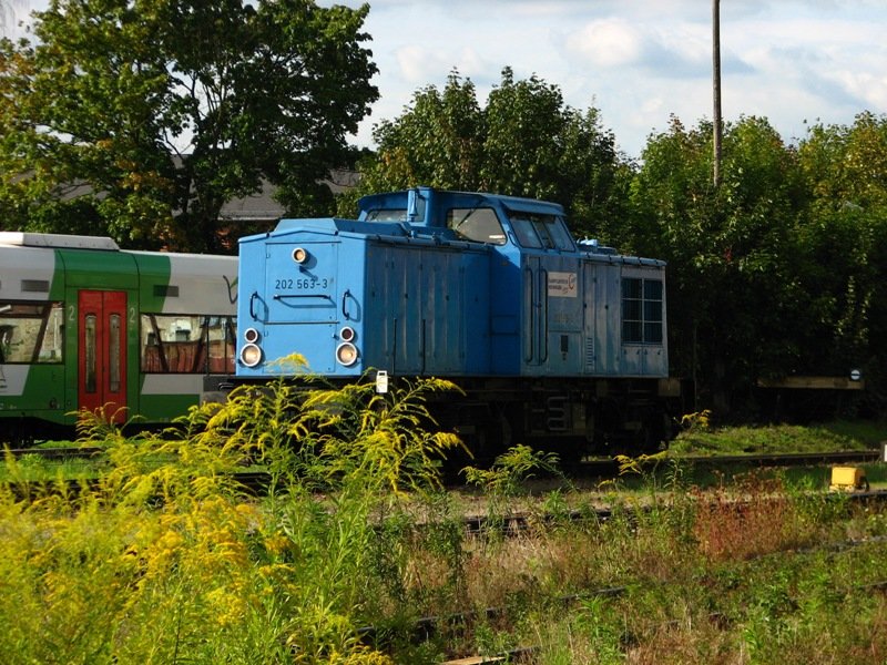 202 563 des Dampflokwerkes Meiningen, bei der Einfahrt in den Bahnhof, aus Richtung Eisenach. 01.09.06