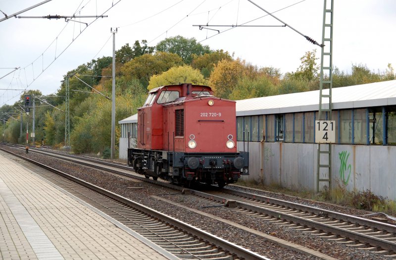 202 720 der Rbel/Mritz Eisenbahn durchfhrt am 13.10.09 Burgkemnitz Richtung Berlin. Auch sie musste das Gleis fr einen verspteten ICE frei machen.