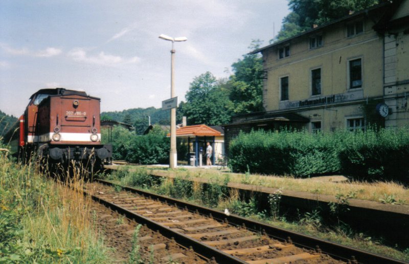 202 786-0 erreicht mit RB 17825 nach Bad Schandau den Haltepunkt Rathmannsdorf.