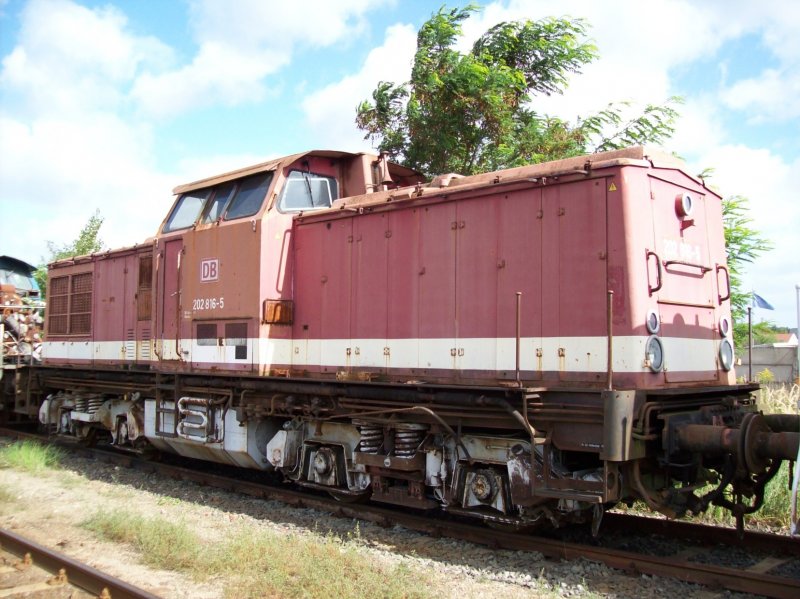 202 816-5 abgestellt in Stendal, am 15.09.07
<a href= http://staedte.kaposo.de  target= _blank ><img src= http://www.Bahnbilder.de/counter/counter_new.php?key=76150800  alt= Städte auf Kaposo  title= Städte auf Kaposo  border= 0  /></a>
