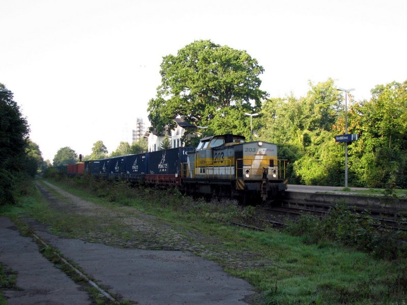 203 001 (Alstom), ex 202 349 - angemietet von PBSV - mit einem Containerzug in Reinfeld (Holst) (15.09.2006)