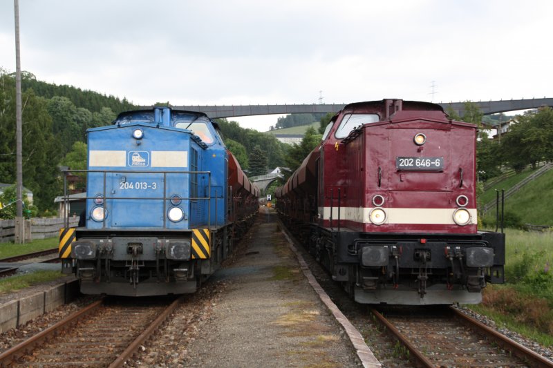204 013-3 der PRESS und 202 646-6 der DB Erzgebirgsbahn treffen sich am 28.05.09 im Bahnhof Markersbach. 
