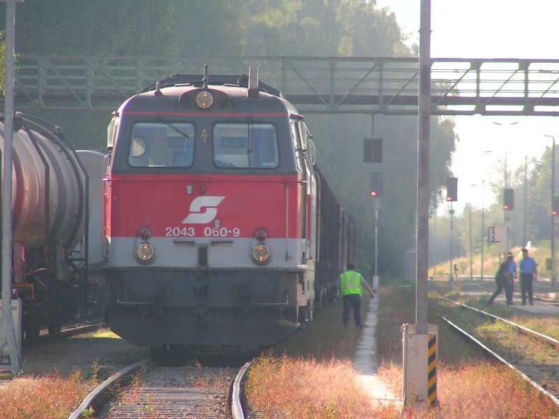 2043 060-9 ist soeben mit einem Rundholzgterzug am Bhf. RIED i.I. eingefahren, der Tfzf steigt aus und geht einige Wagen rckwrts, um  dann anschliessend mit Fdl. einen Wagen zu inspizieren. (2006-09-12)