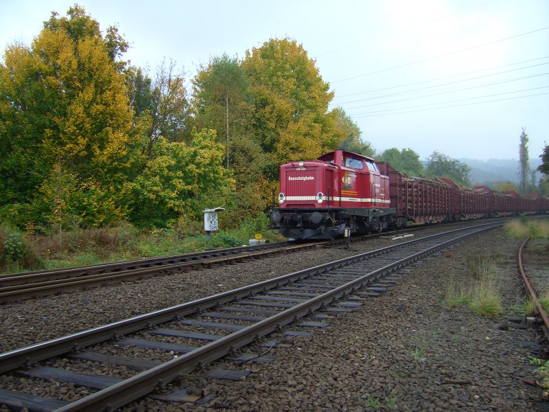 213 339 der Rennsteigbahn mit einem Holzzug kurz vor Arnsberg. (Aufnahme am 14.10.2008)
