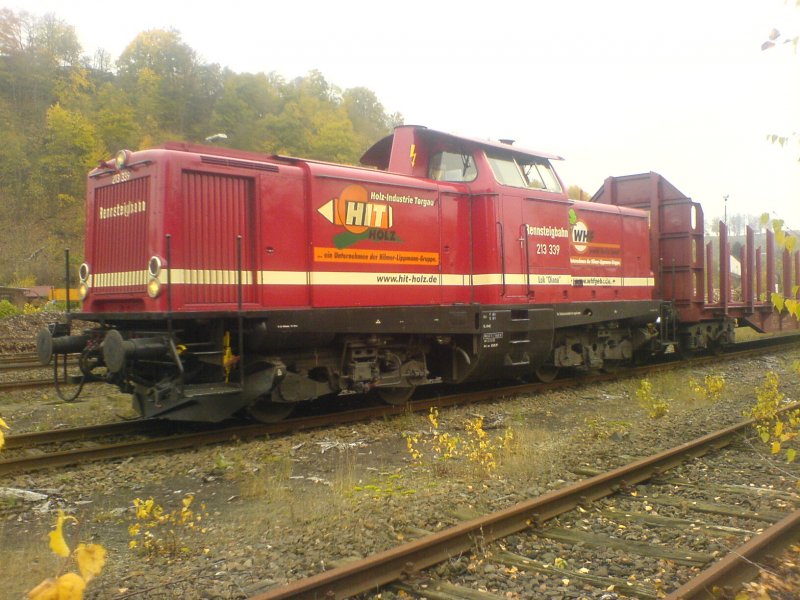213 339 der Rennsteigbahn wartet am 05.11.08 in Arnsberg auf die Weiterfahrt.