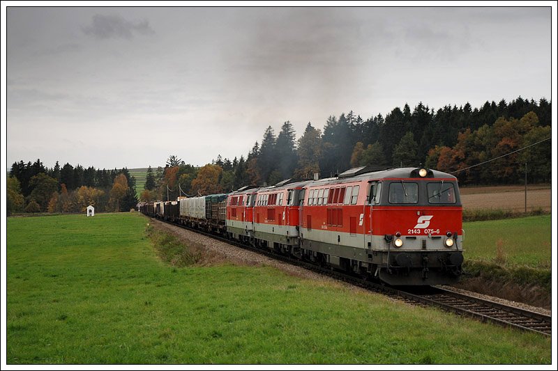 2143 075, 2143 055 und 2143 069 mit dem VG 73153 von Martinsberg-Gutenbrunn nach Scharzenau am 16.10.2008 kurz nach der Ausfahrt aus Zwettl aufgenommen. Noch bis Fahrplanwechsel wird diesem Zug in der Regel ab Zwettl eine dritte 2143 vorgespannt.