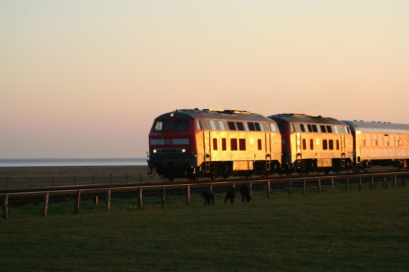 215 901-9 kommt mit einem Autozug aus Richtung Sylt. Hindenburgdamm am 23.4.2008.

