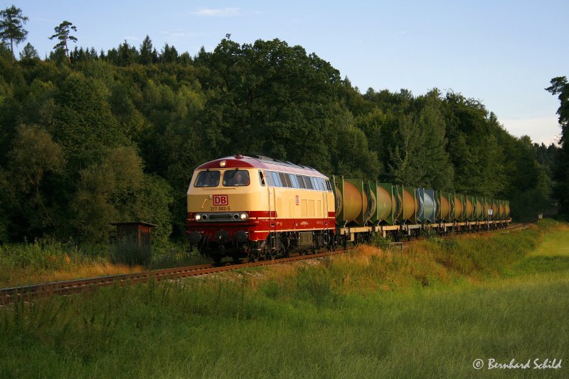 217 002 mit dem 56524 beim Bslhusl/Kastl am 6. August 2008