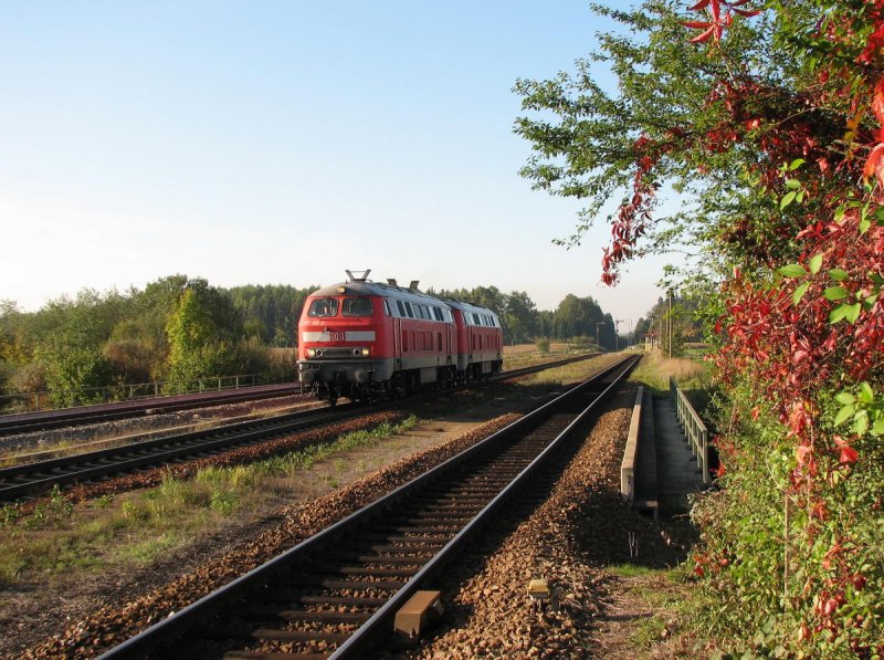 217 019 und 217 013 als Lz 69207 in Tling (11.10.2006)
