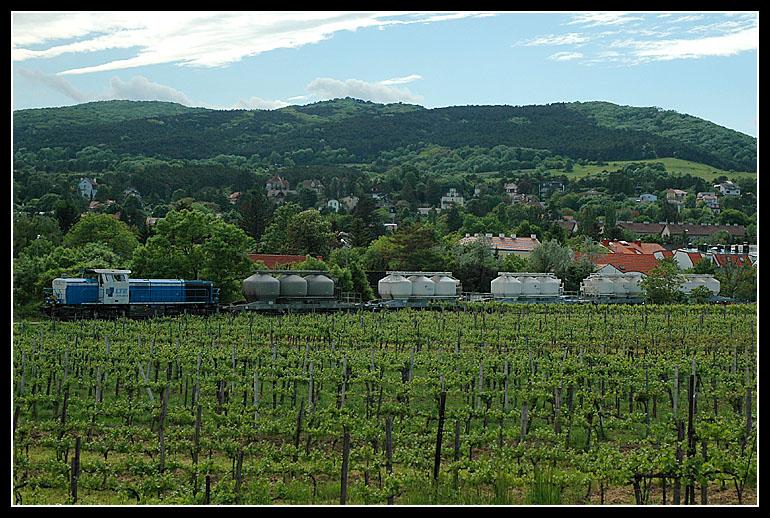 2170 001-8 bei der Rckfahrt ihrer BED 71395 mit den leeren Zementwaggons von Waldmhle kommend Richtung Wien-Liesing, aufgenommen in Perchtoldsdorf a, 19.5.2006