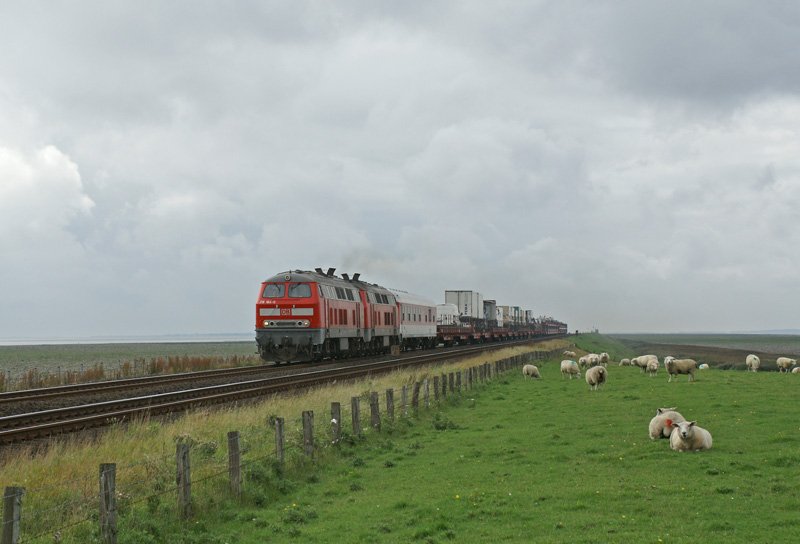 218 184-0 und eine weitere 218er ziehen am 26.08.2008 einen Autozug ber den Hindenburgdamm gen Niebll.