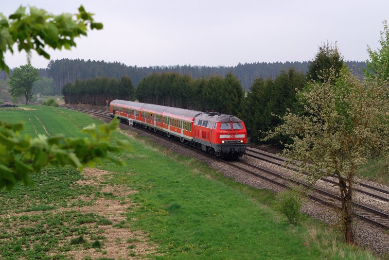 218 202 mit RE 32674 vor Epfenhausen (28.04.2009)