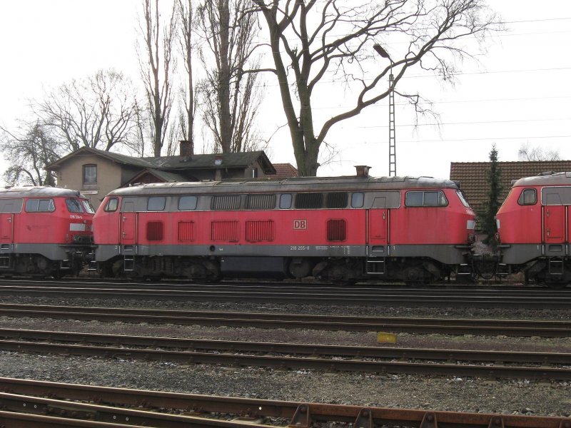 218 255-8 steht vieler Teile beraubt am 27.12.2008 in Bremen-Sebaldsbrck in einer langen Reihe z-gestellter Dieselloks der Baureihe 218.