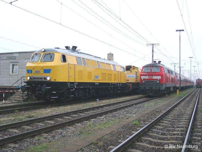 218 344 mit Zusatzscheinwerfern trifft am 23.10.2007 in Augsburg auf ihre gelbe Schwester 218 304.