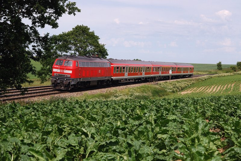 218 464 schiebt RE 32683 bei Epfenhausen (14.06.2009)