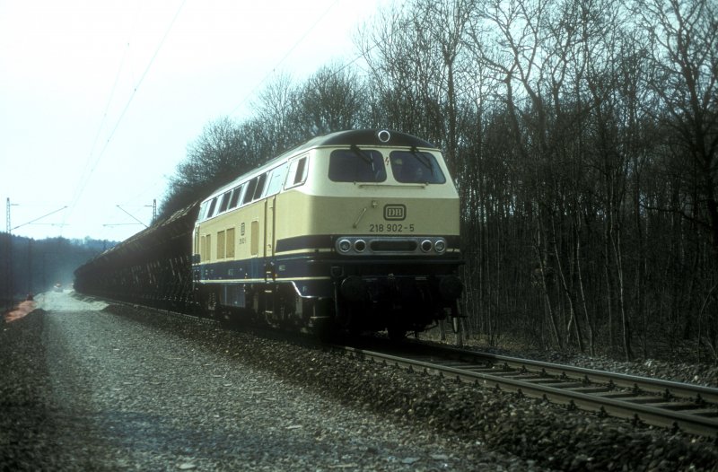 218 902  bei Offingen  10.03.82