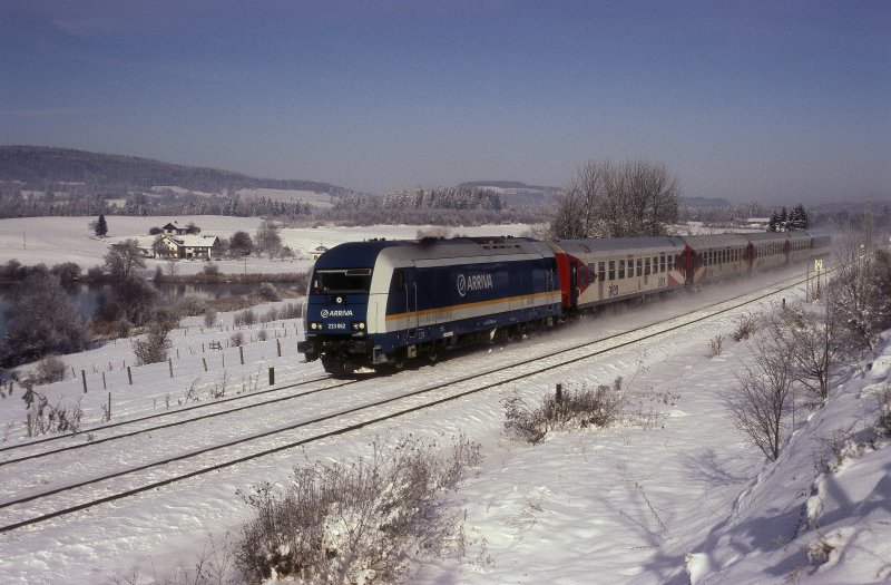 223 062  bei Martinszell  18.11.07