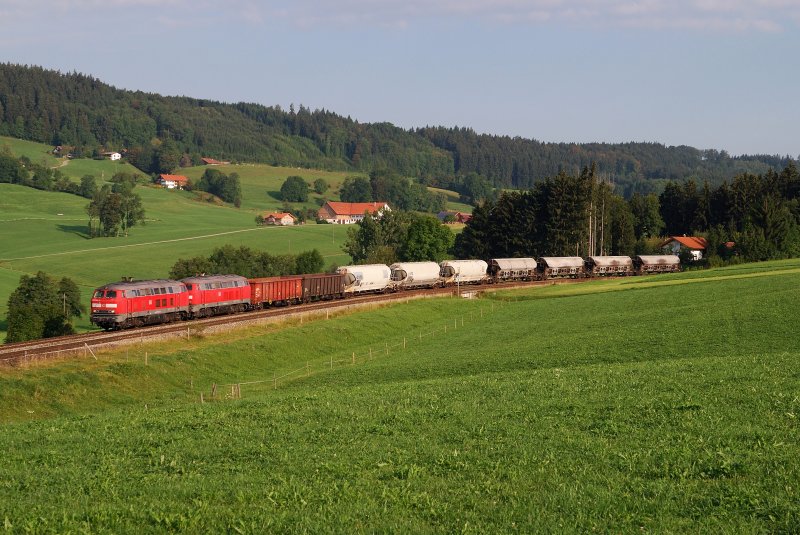 225 084 und 071 mit Umleiter FS 45188 bei Ellenberg (27.08.2009)