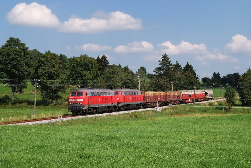 225 084 und 071 mit Umleiter FS 45189 bei Haslach (27.08.2009)