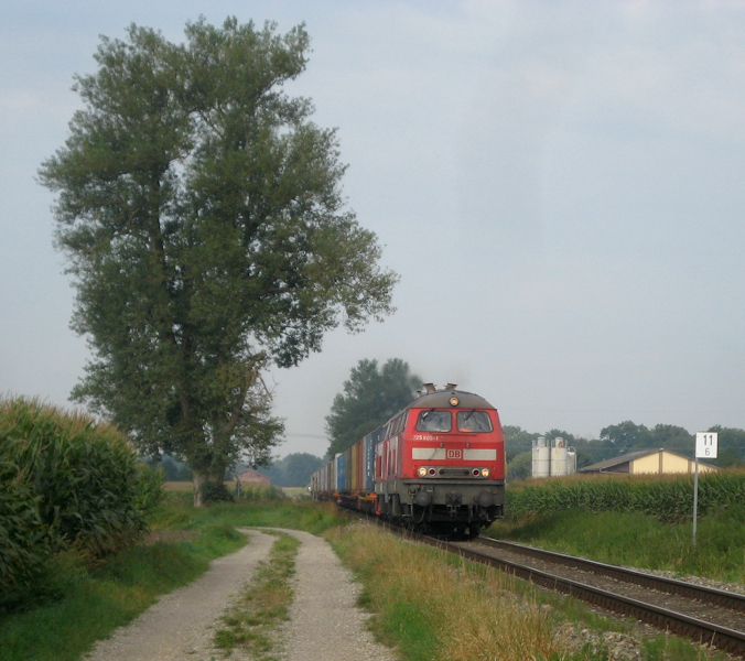 225 805-1 und 217 011-6 nach Burghausen Wacker am 28. August 2009 bei Alttting.