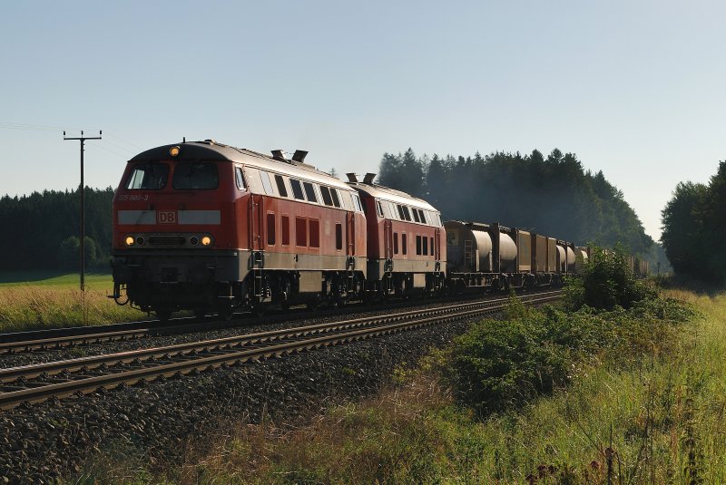 225 809 und 225 803 mit dem Arlbergumleiter IKS 43194 bei Schwabhausen (19.08.2008)