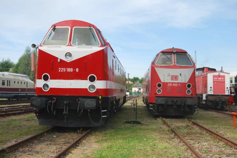 229 188, 219 003 und 202 885 vetreten einen Teil der Dieseltraktion beim Heizhausfest Chemnitz, 22.08.08.