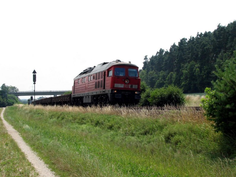 232 005 mit 44342 in Irrenlohe (14.07.2006)