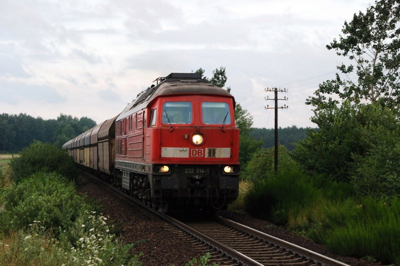 232 014 mit CS 47445 vor Petershain (25.07.2007)