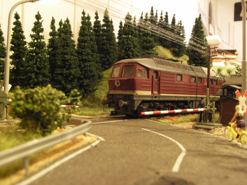 232 075-2 beim passieren eines Bahnberganges