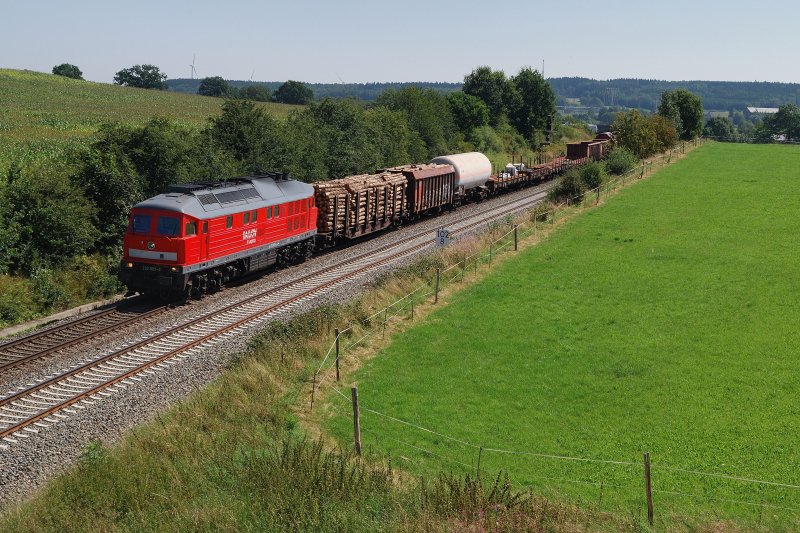 232 093 mit dem Umleiter FIR 51703 bei Herlasgrn (19.08.2009)