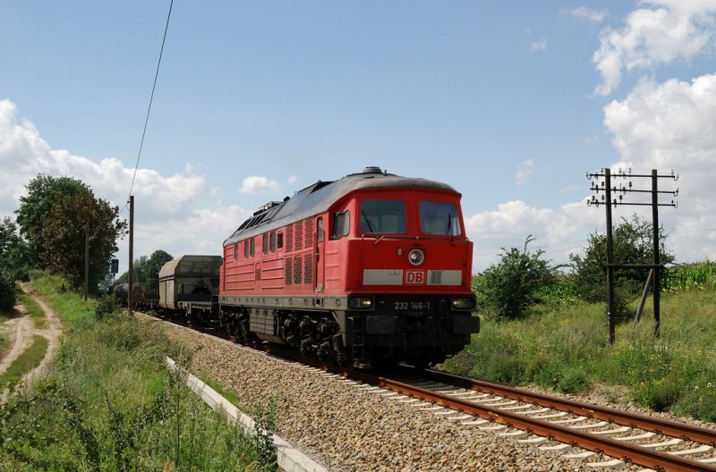 232 146 mit FE 45429 bei Petershagen (27.07.2007)