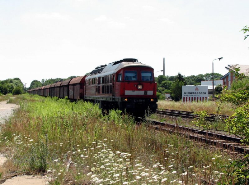 232 205 mit CS 61904 in Reuden (15.07.2006)