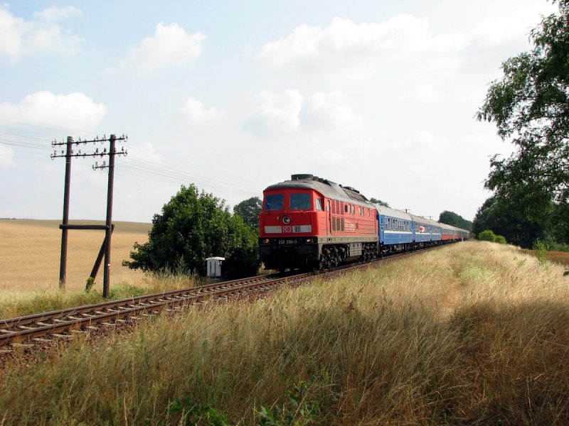 232 230 mit D 246 in Mncheberg (30.07.2006)