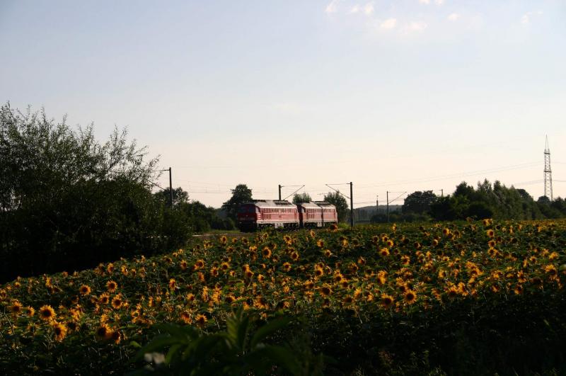 232 --- und 232 105-7 in Krielow am 01.08.2005