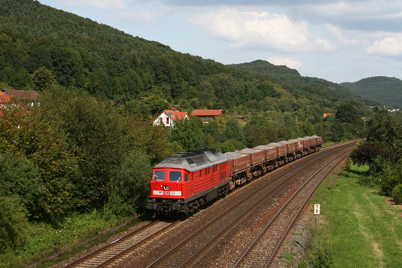 232 347 mit einem kurzen Gterzug am 04.08.2009 bei Hersbruck.