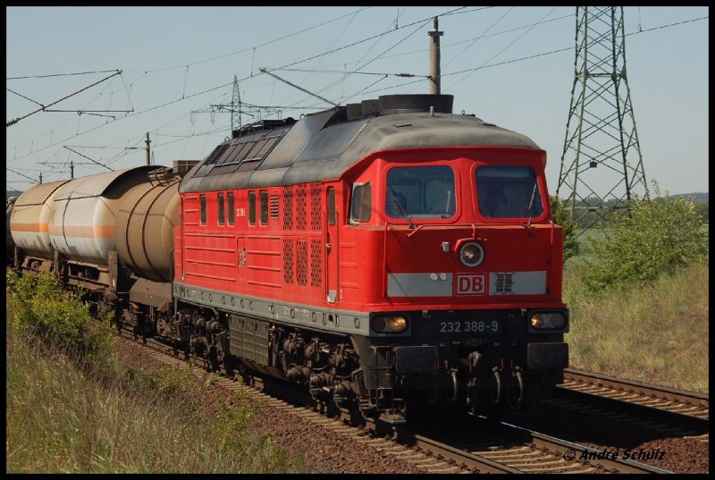 232 388-9 DB bei Nudow (sBAR)