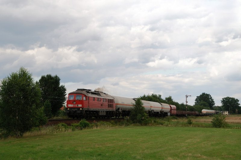 232 401 mit einem G�terzug am Abzw. S�richen (25.07.2007)