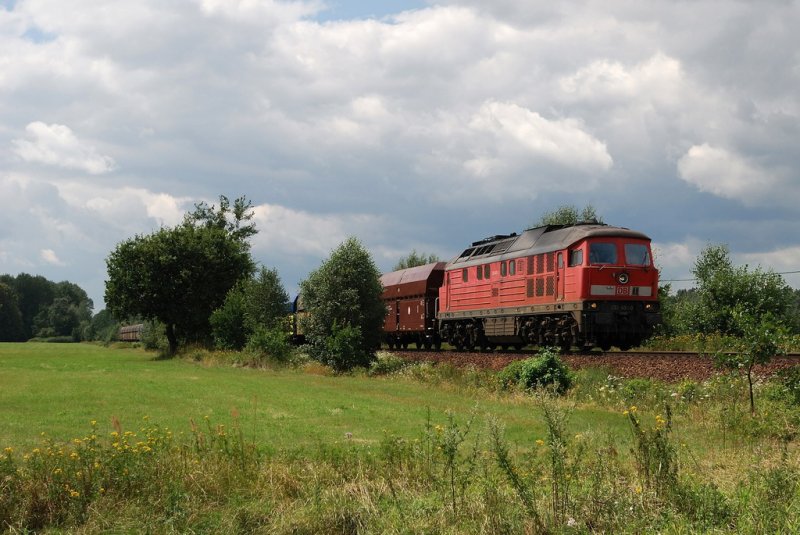232 401 mit einem Leer-Kohlezug am Abzw. Srichen (25.07.2007)