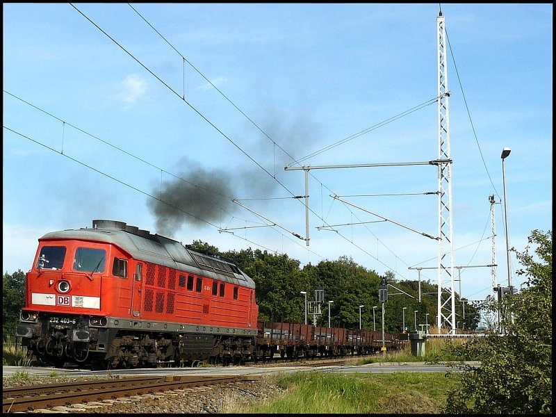 232 403-6 verlsst mit FE 45523 von Malm Godsbangard nach Rostock-Seehafen am 05.09.2008 den Bahnhof Martensdorf.