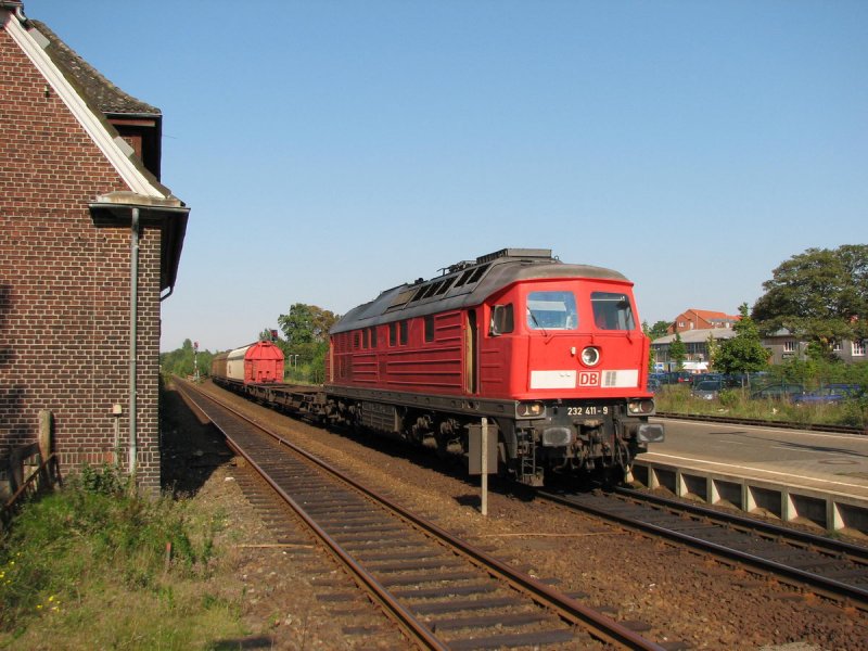 232 411 mit FZ 53697 in Bad Oldesloe (15.09.2006)