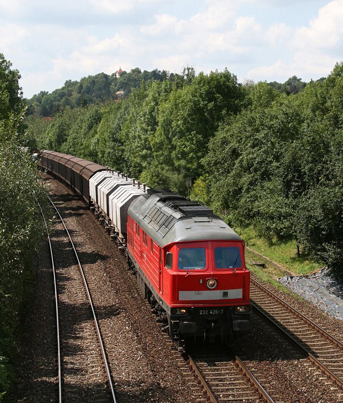 232 426 mit einem gemischten Gterzug am 04.08.2009 bei Hersbruck.