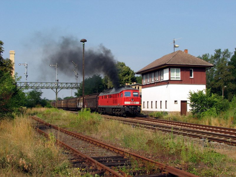 232 428 mit Gterzug in Mncheberg (30.07.2006)