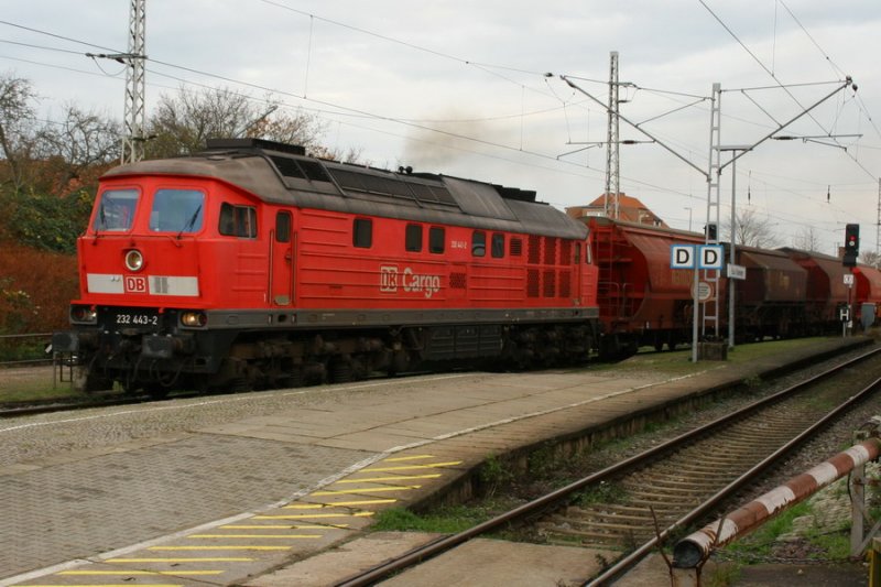 232 443 DB Cargo mit Gterzug fhrt durch den Bf. Bad Kleinen 11/2006