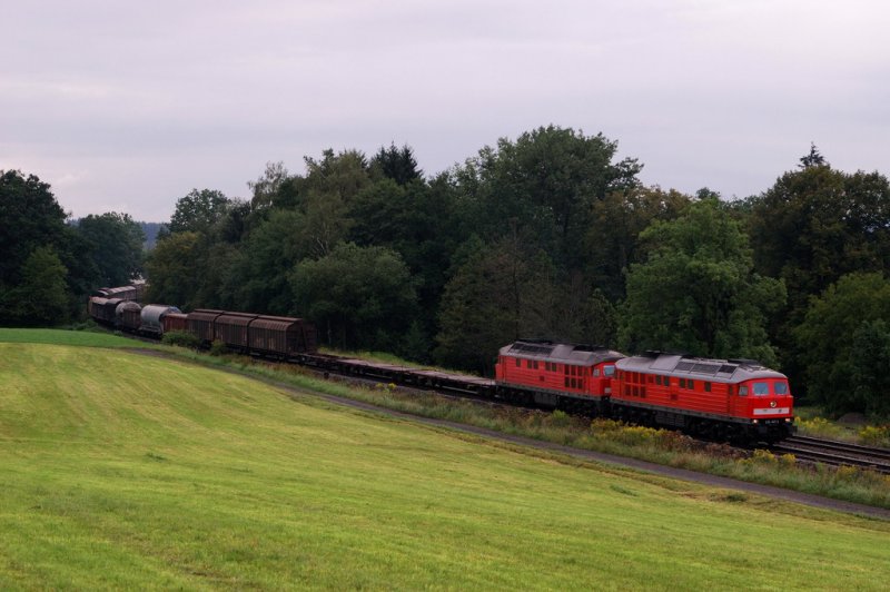 232 457 und 232 352 mit dem Arlbergumleiter CFN 45190 bei Hergensweiler (17.08.2007)