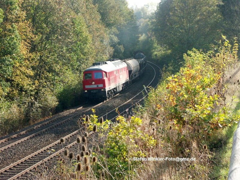 232 502 verl�sst das Hofer Stadtgebiet. Der Herbst ist auch schon da mit seinen Farben und die Disteln neben dem Spazierweg haben eine beachtliche Gr�sse erreicht. oktober 2009.
