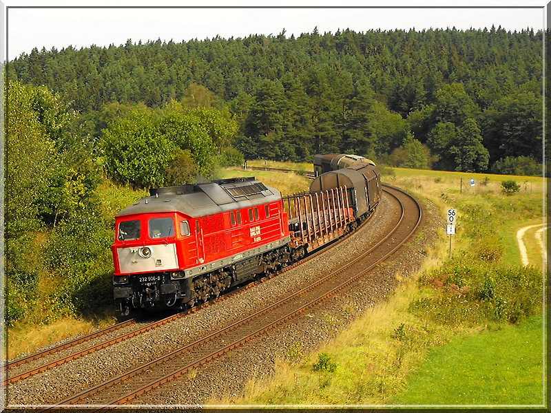 232-506 mit wenig Last am Haken,rollt nach Nrnberg.
(Ranna,17.08.2009)