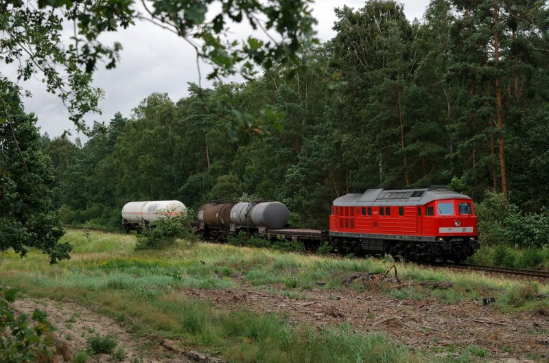 232 529 mit FE 45428 in Sch�now (30.07.2007)