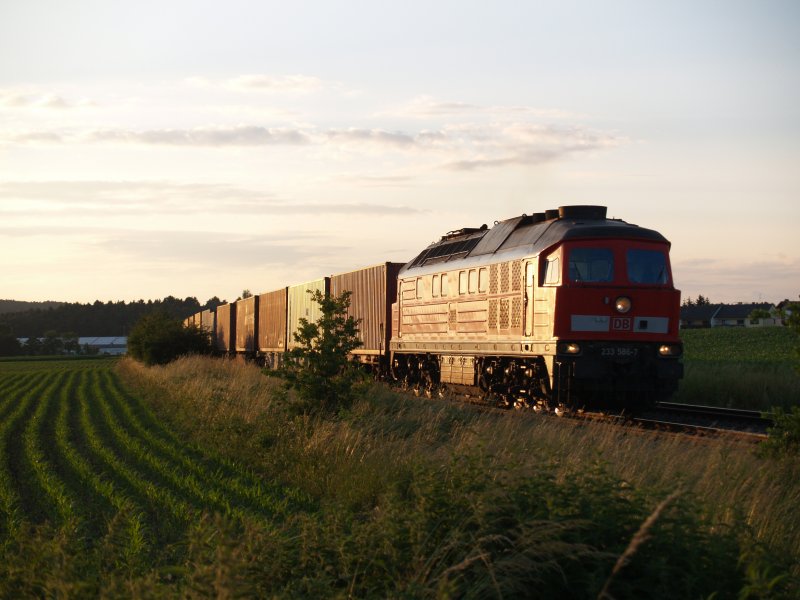 232-586 mit Containerzug am 13.06.2008 in Zeitlarn